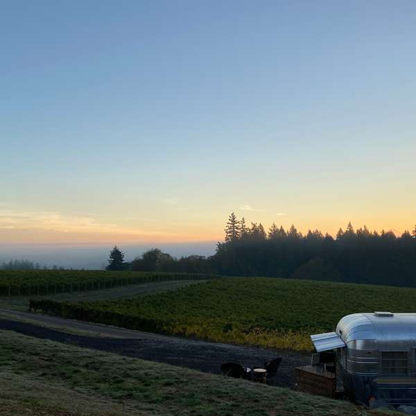 Dukes Inn | A Cozy Vintage Escape in Oregon Wine Country 🍷