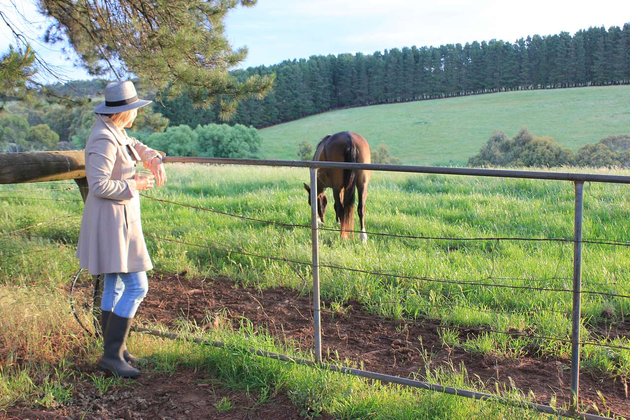 Book A Paddock