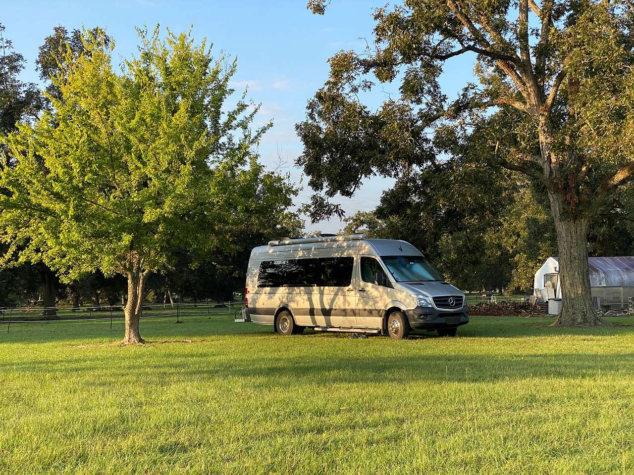 Pecan Orchard
