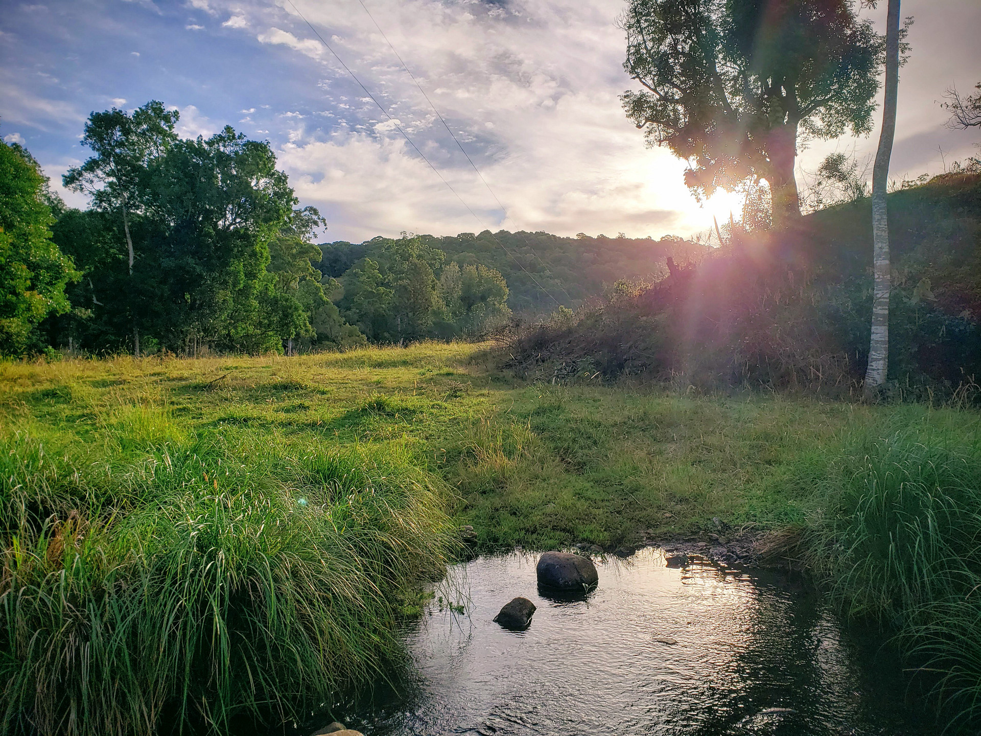 Creek View