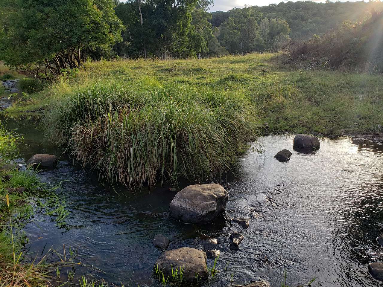 Creek View
