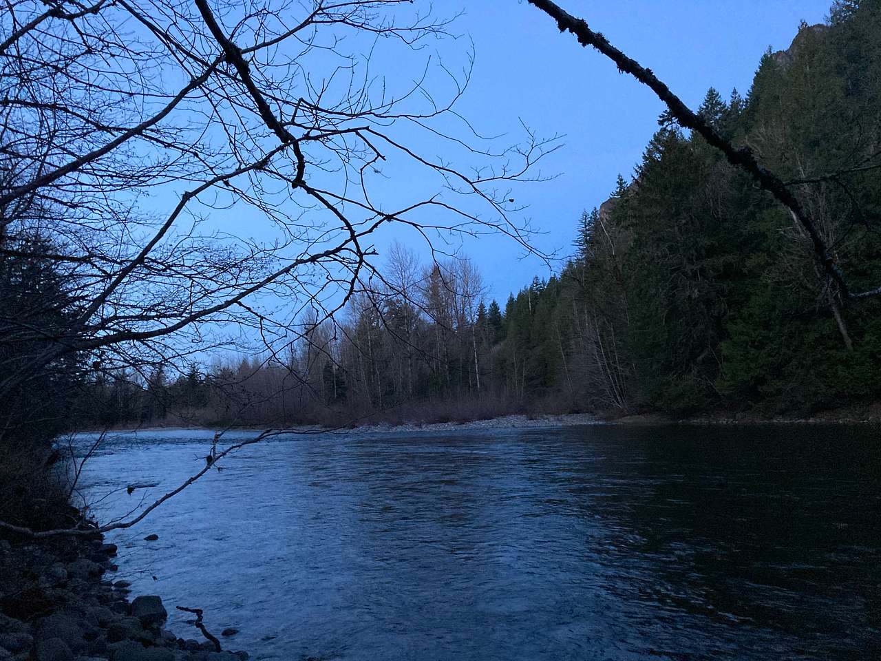 Forested with River Access/Firepit
