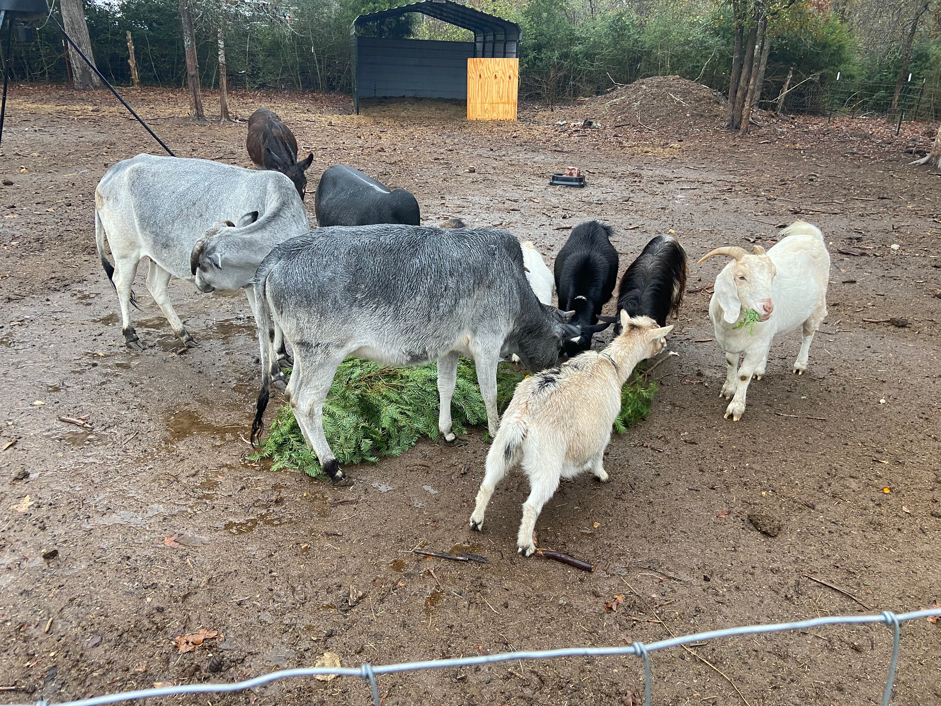 3C Farm Rural Getaway