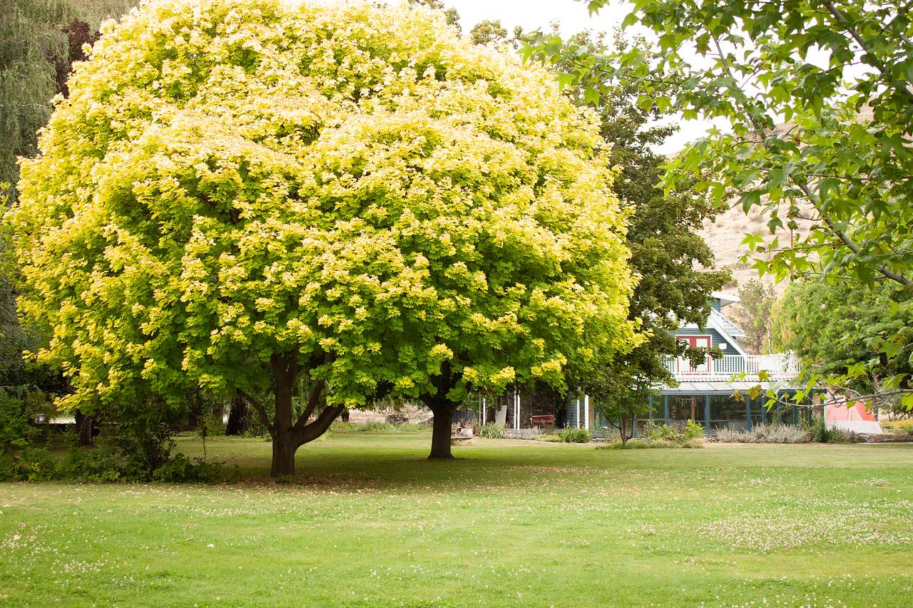 Summerhill Farm and RV Park