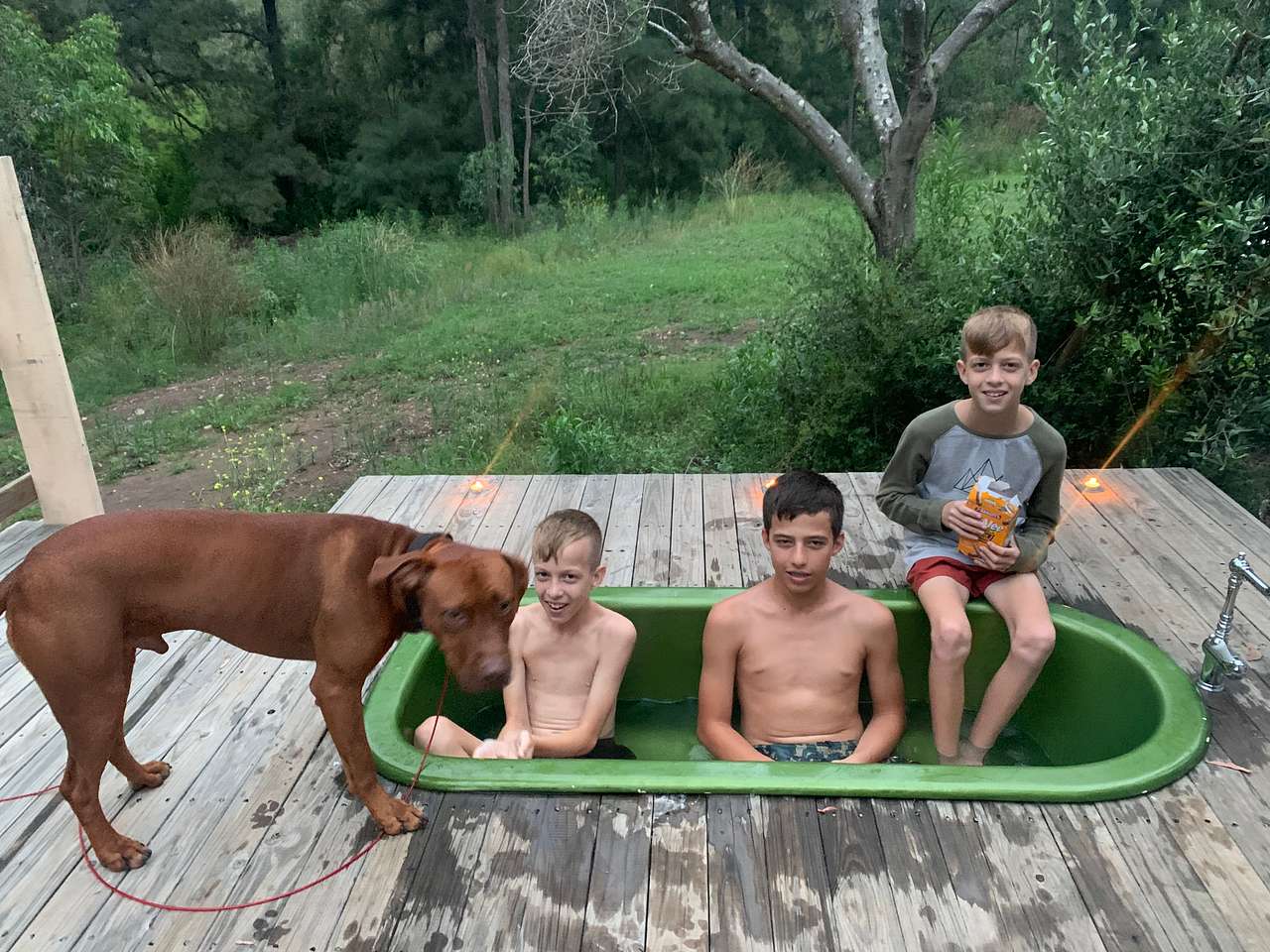 Dalli's Campground