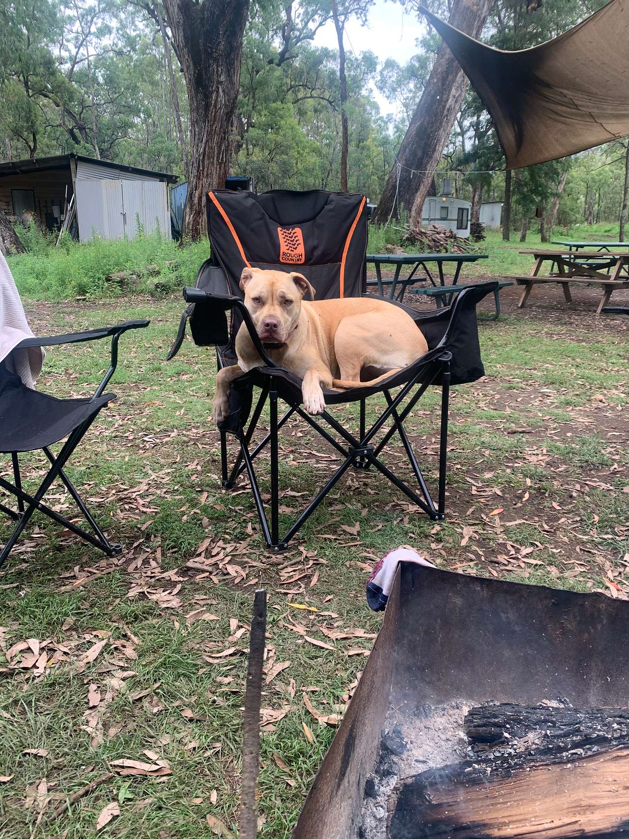 Dalli's Campground