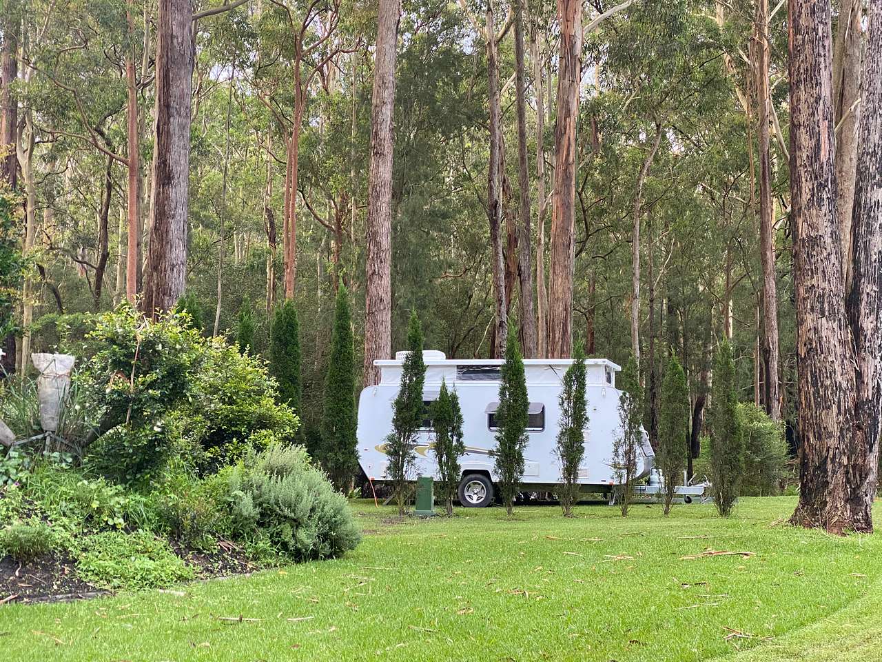 Mistinthegumtrees - Budget 2 Glamping