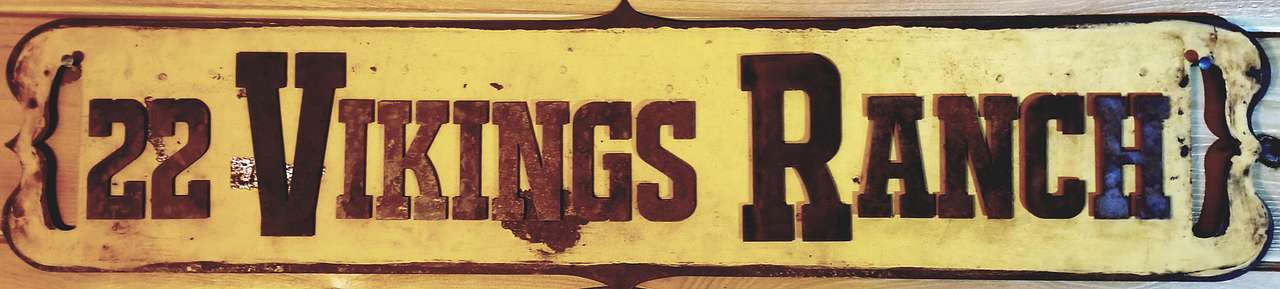 22 Vikings Camp and Cabin
