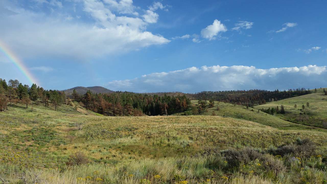 View Facing East