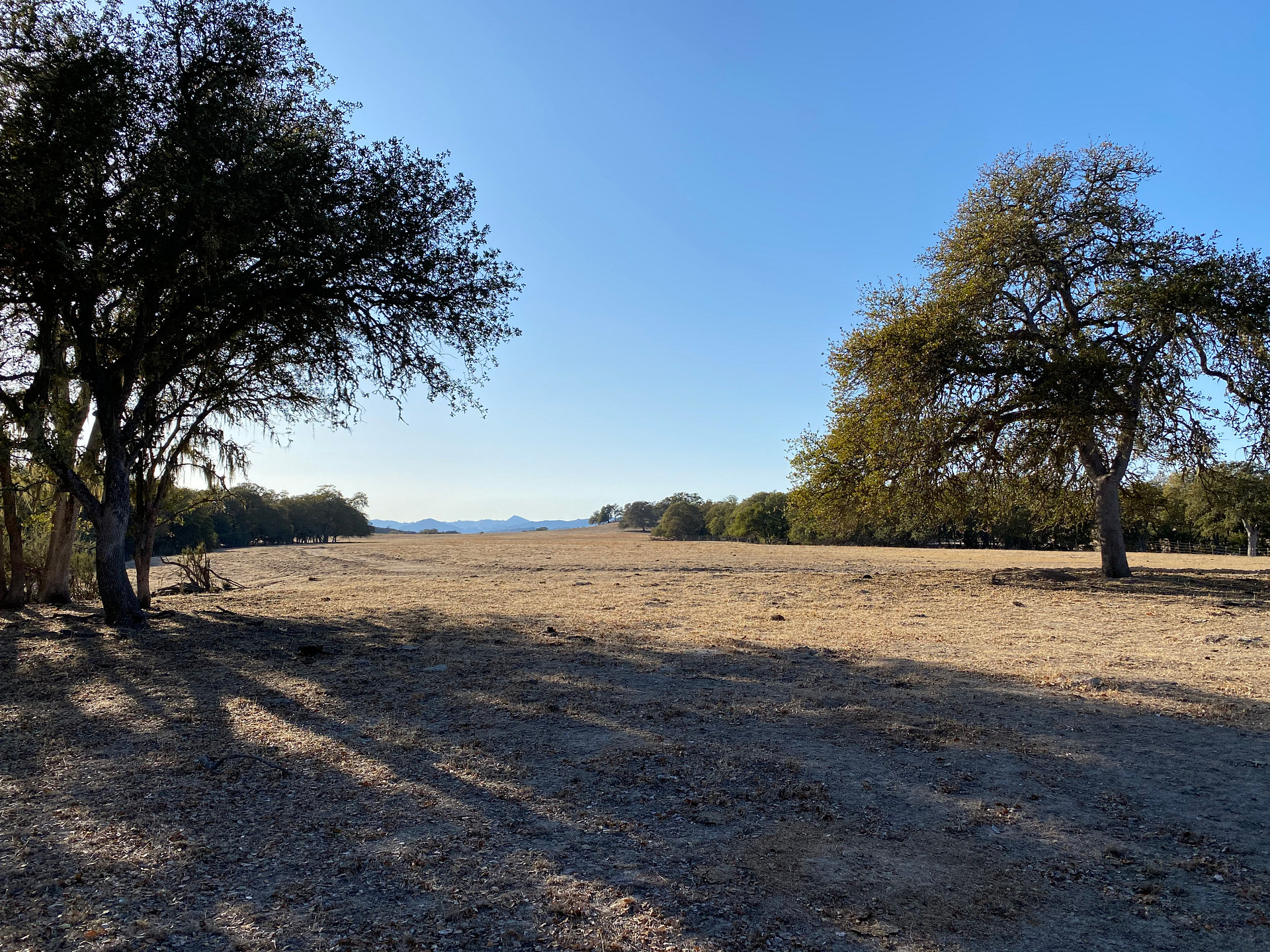 Smith Ranch