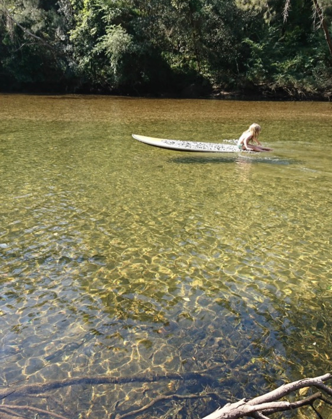 Shady Acres Colo River