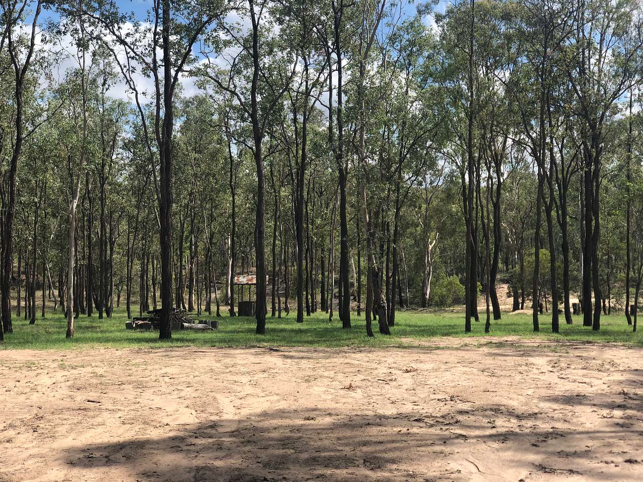 Ballogie Bush Camp