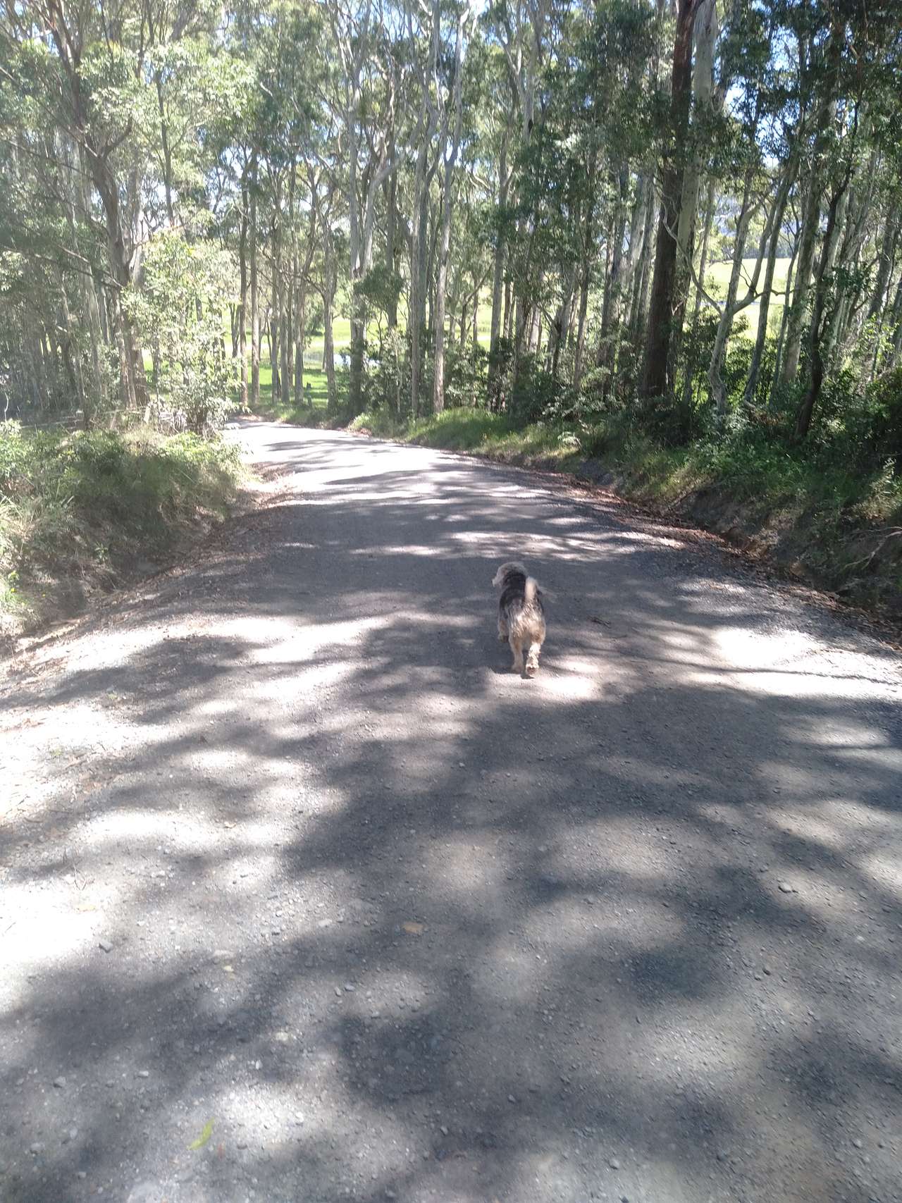 Lots of good walks.