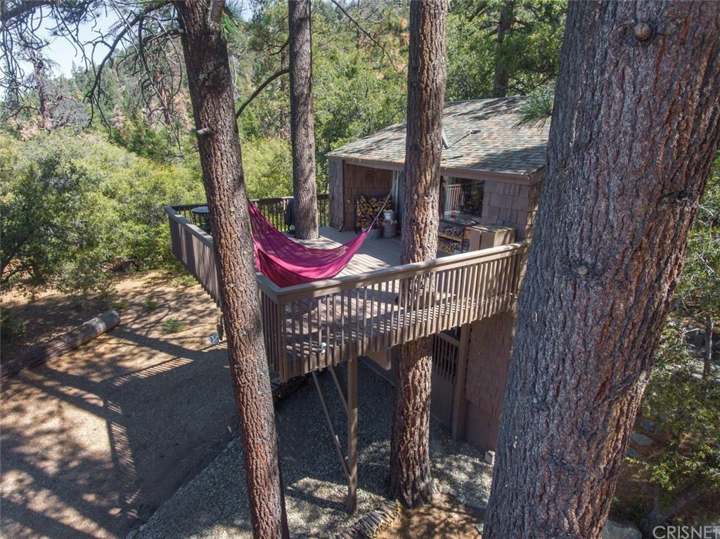 Romance in the Pines