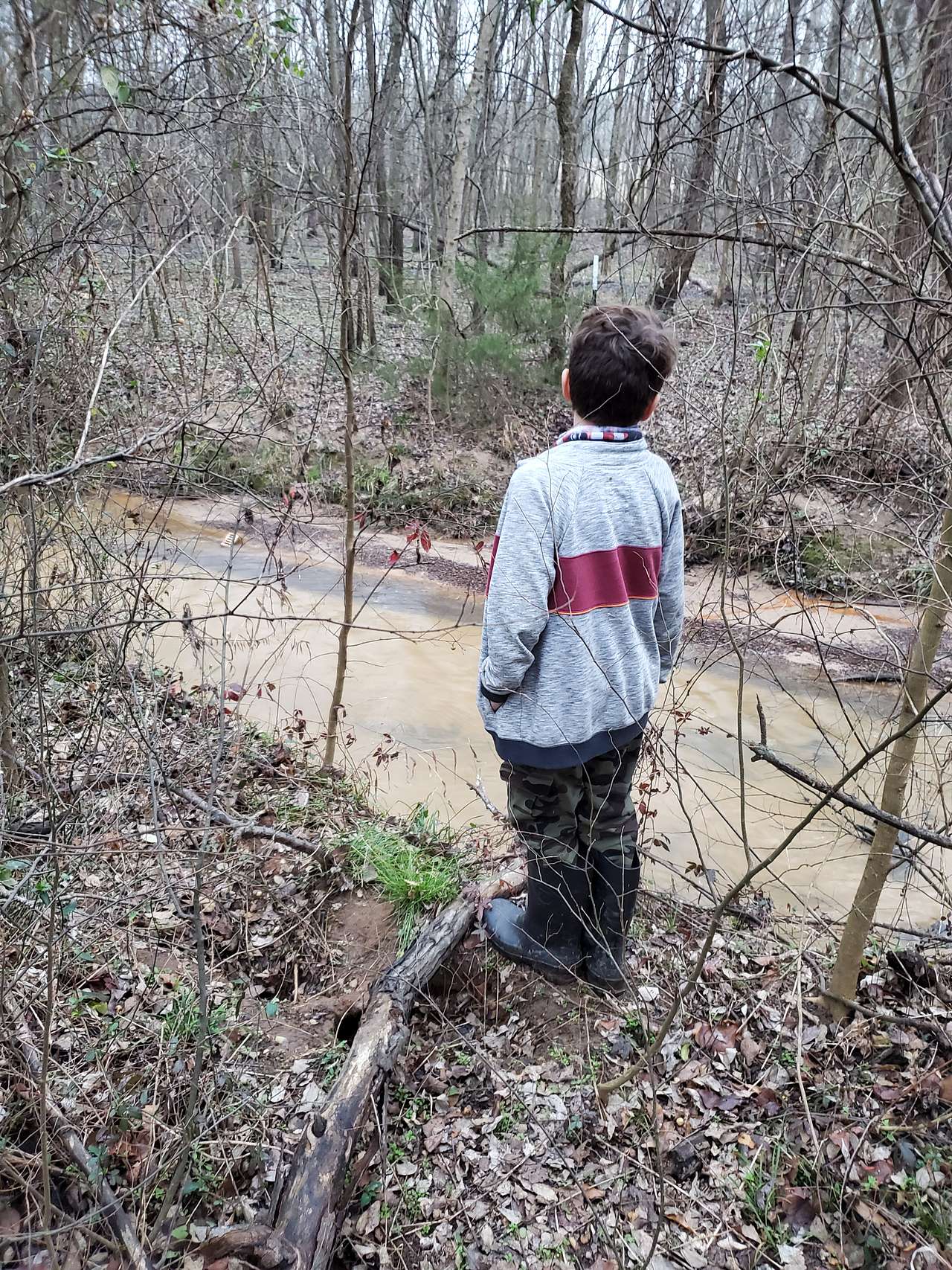 Spring creek 
