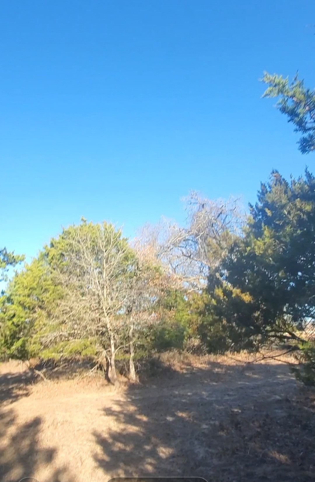 Angela L'S Land