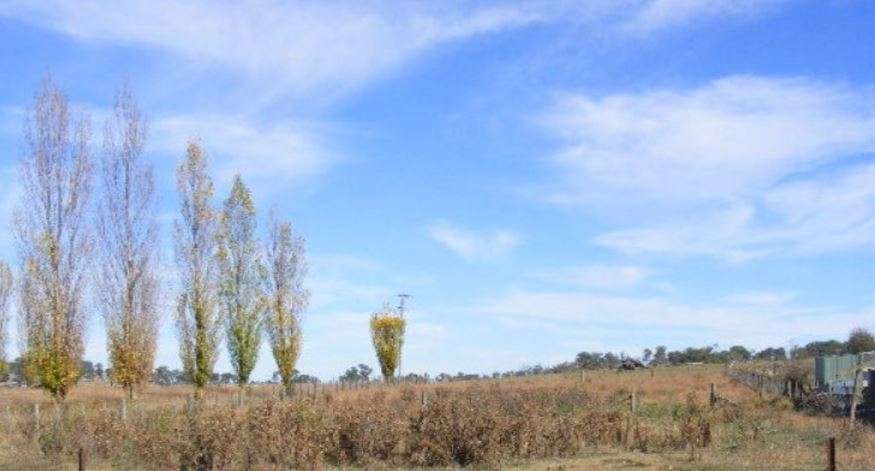 Guyra gateway to Copeton Dam
