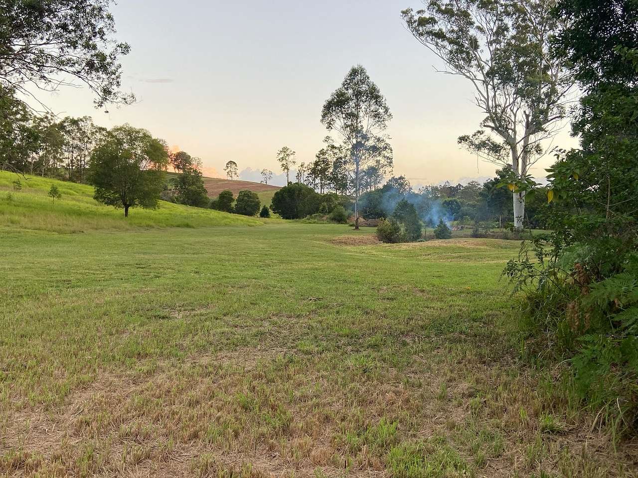 Flame Tree Valley Gympie