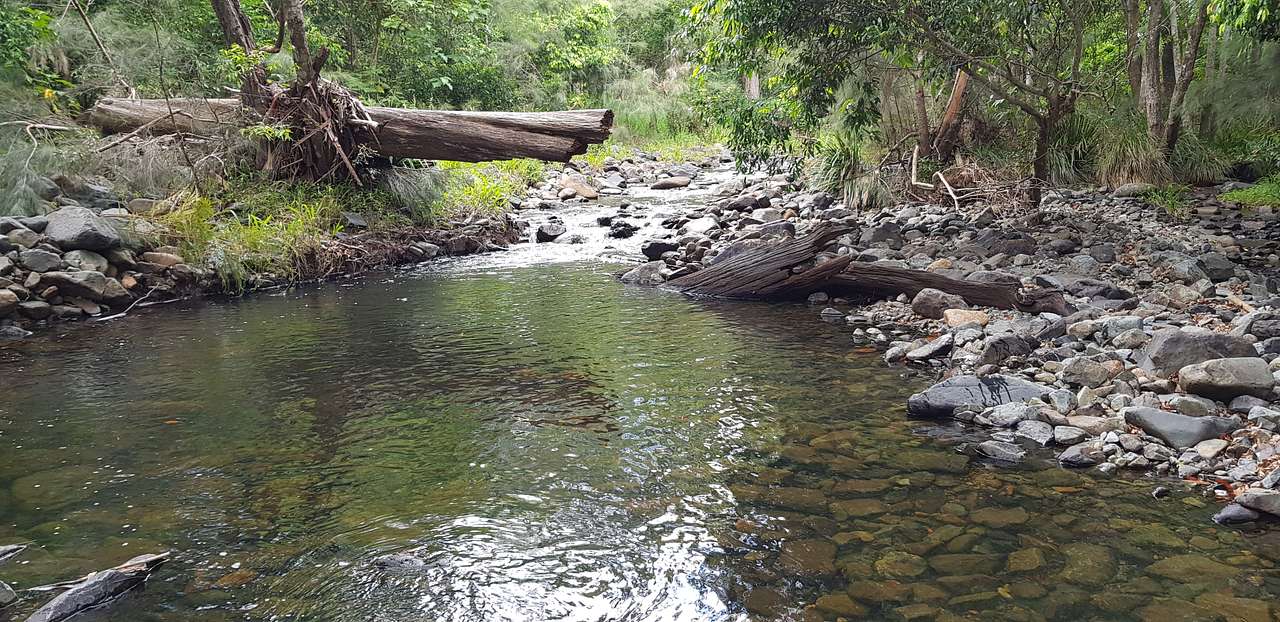 Private Rainforest Creek Camp