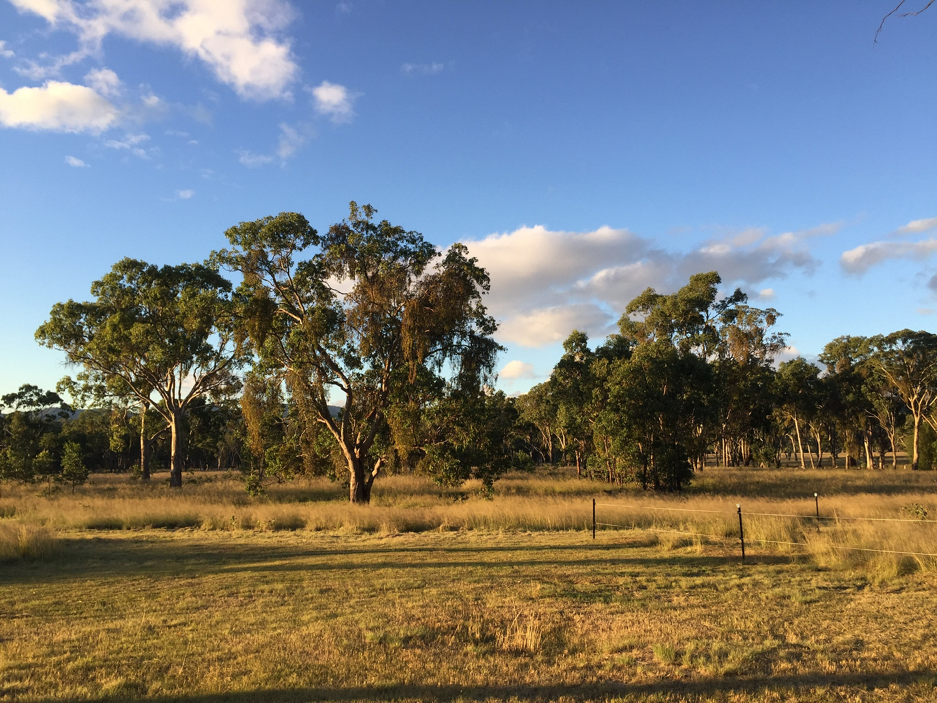 Jennings Tranquil Country Camp