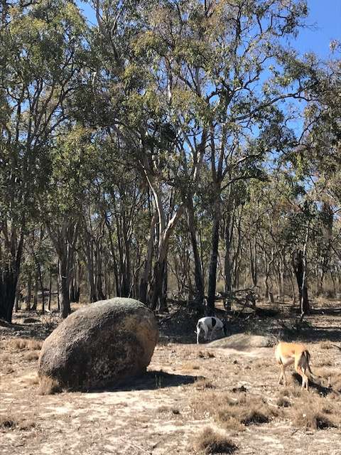 One of the typical boulders along the New England Highway.