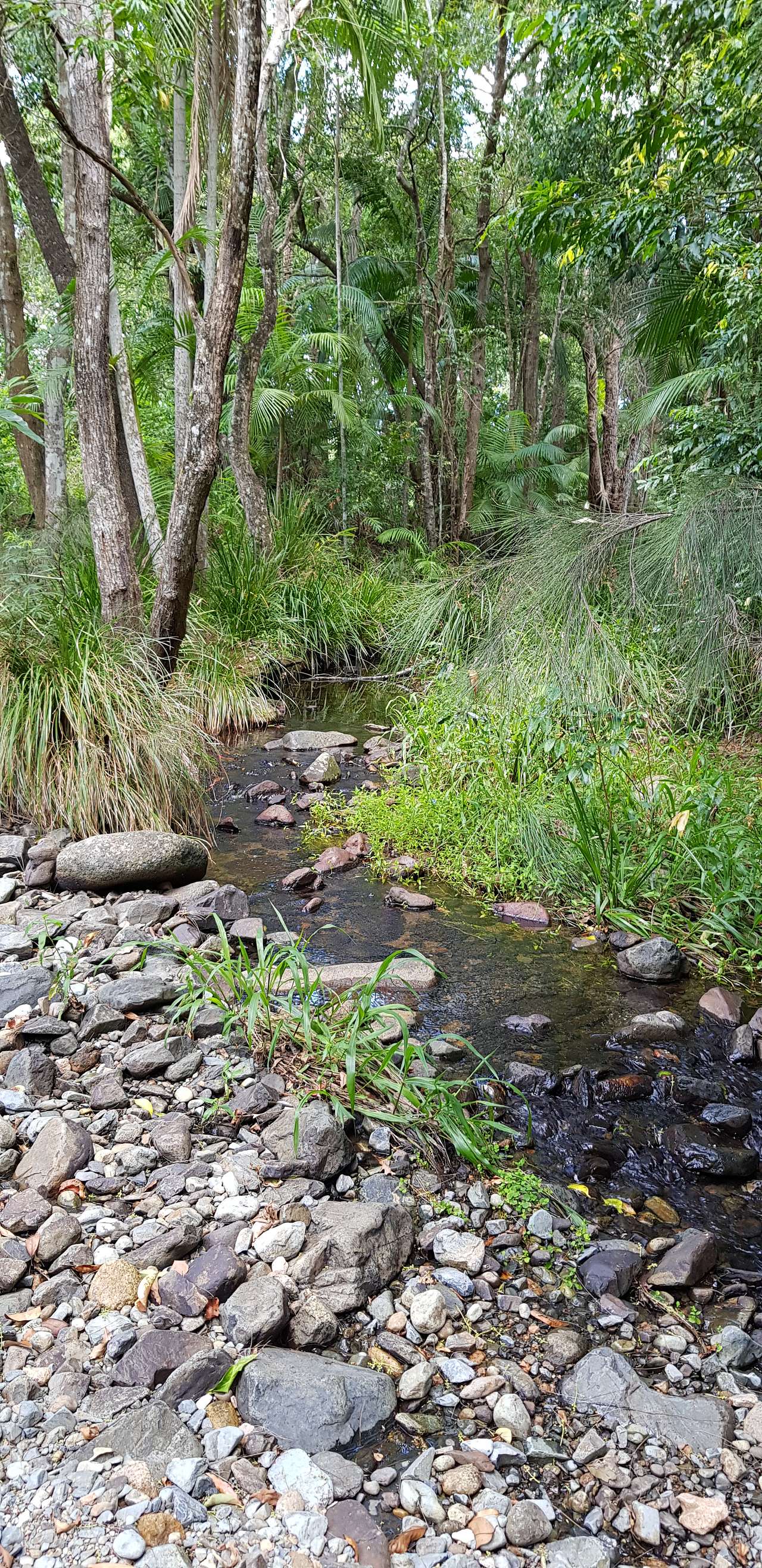 Private Rainforest Creek Camp