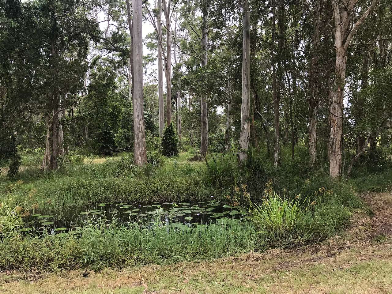 Aussie Camp