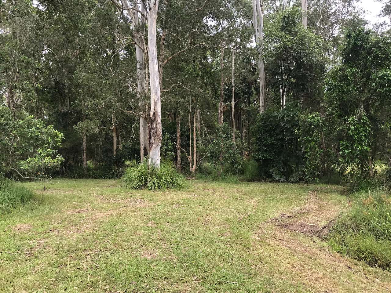 Aussie Camp