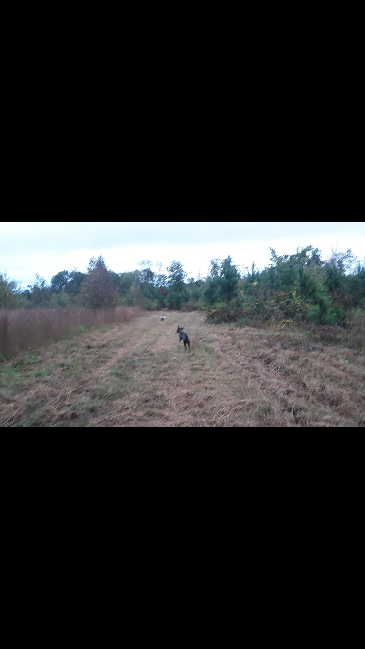 Primitive Farm Camping