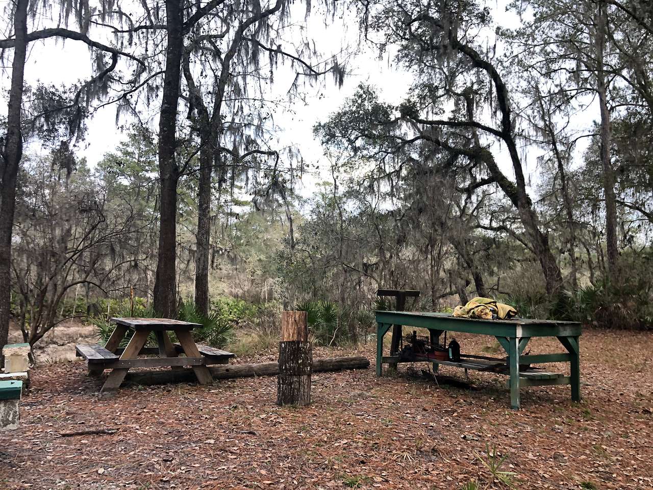 There is a picnic table and a large table available for use. 