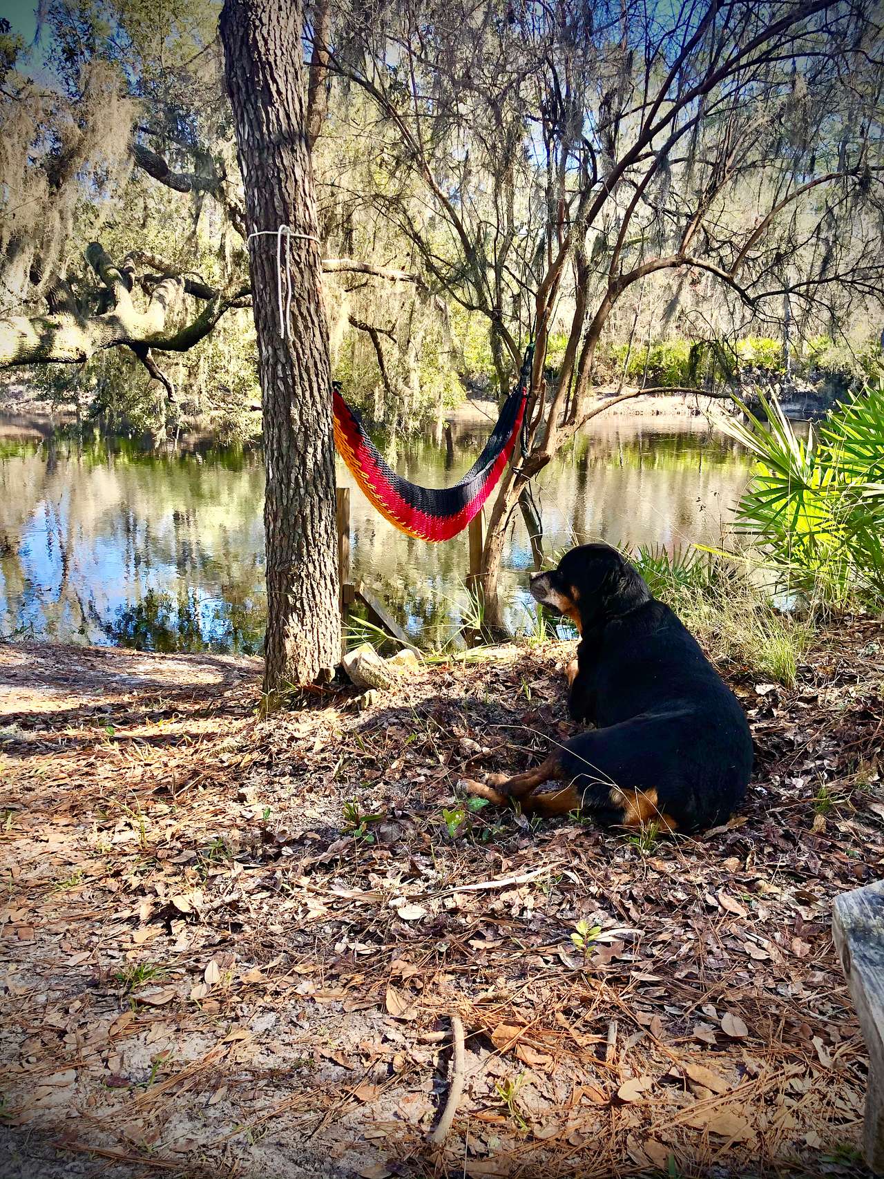 Off Grid River Camping