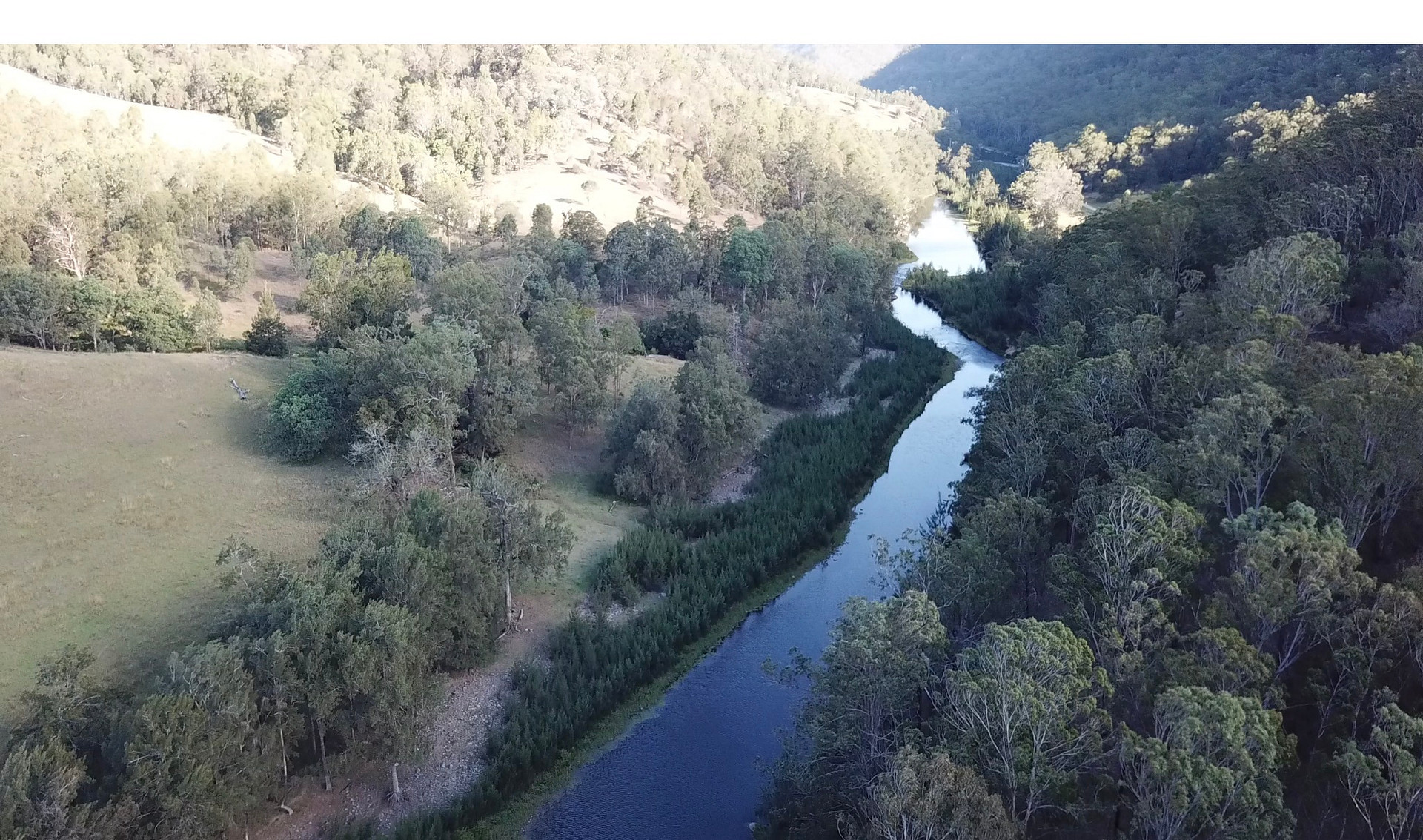 Timbarra Valley