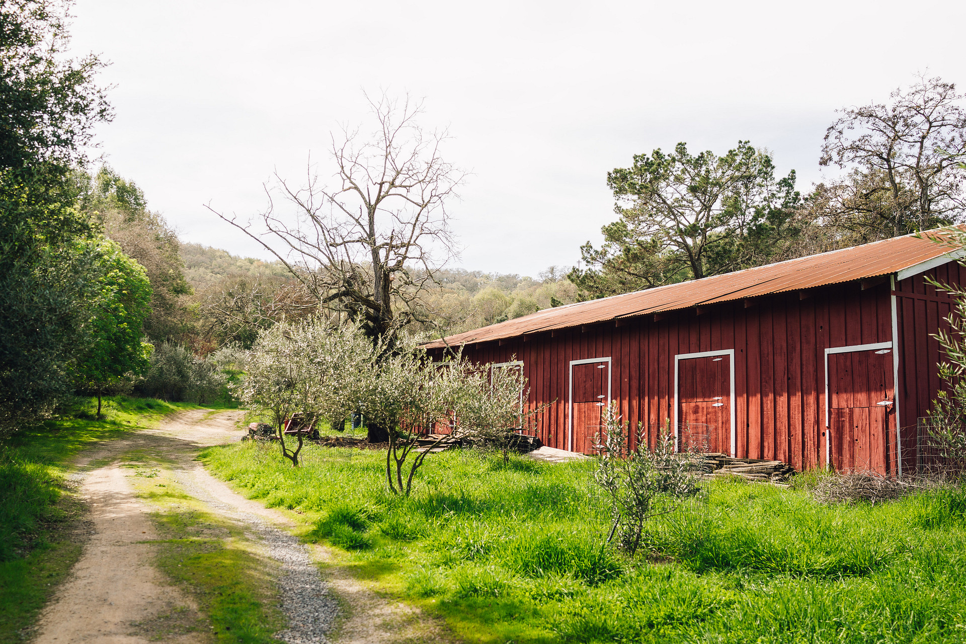 The barn that welcomes you