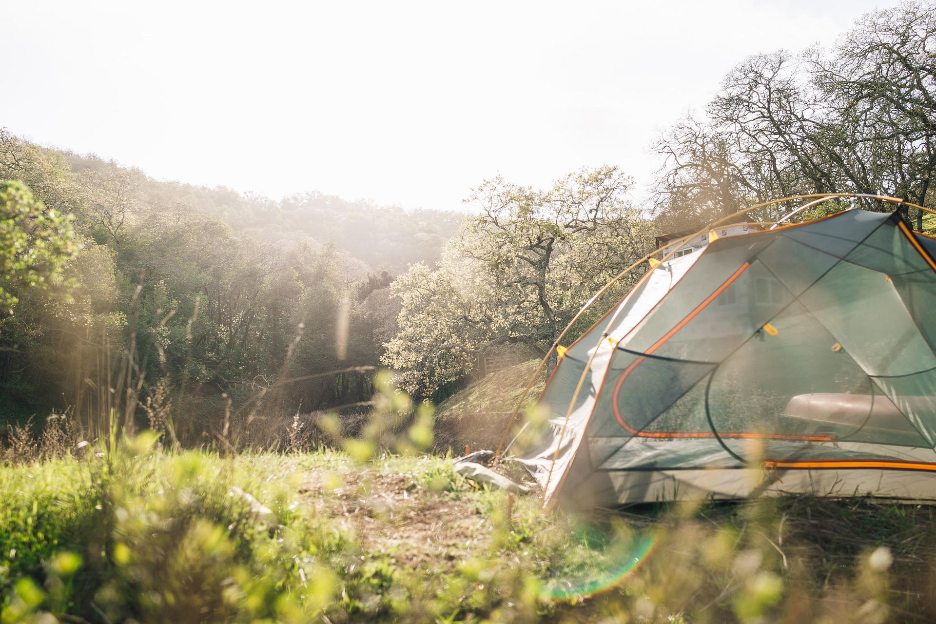 If you want morning & late afternoon light away from the camp overlooking the pond, this spot wasn't too bad.