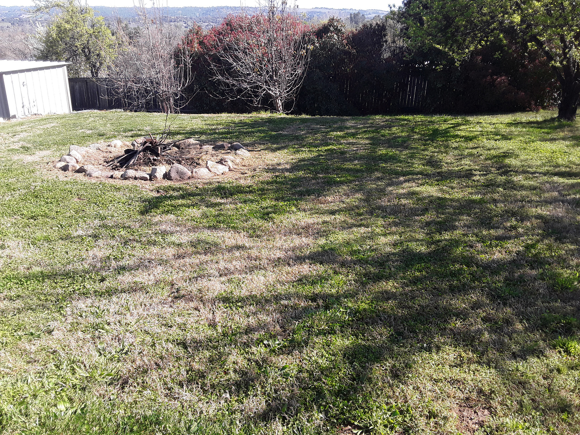 7 Acre Farm With Many Amenities