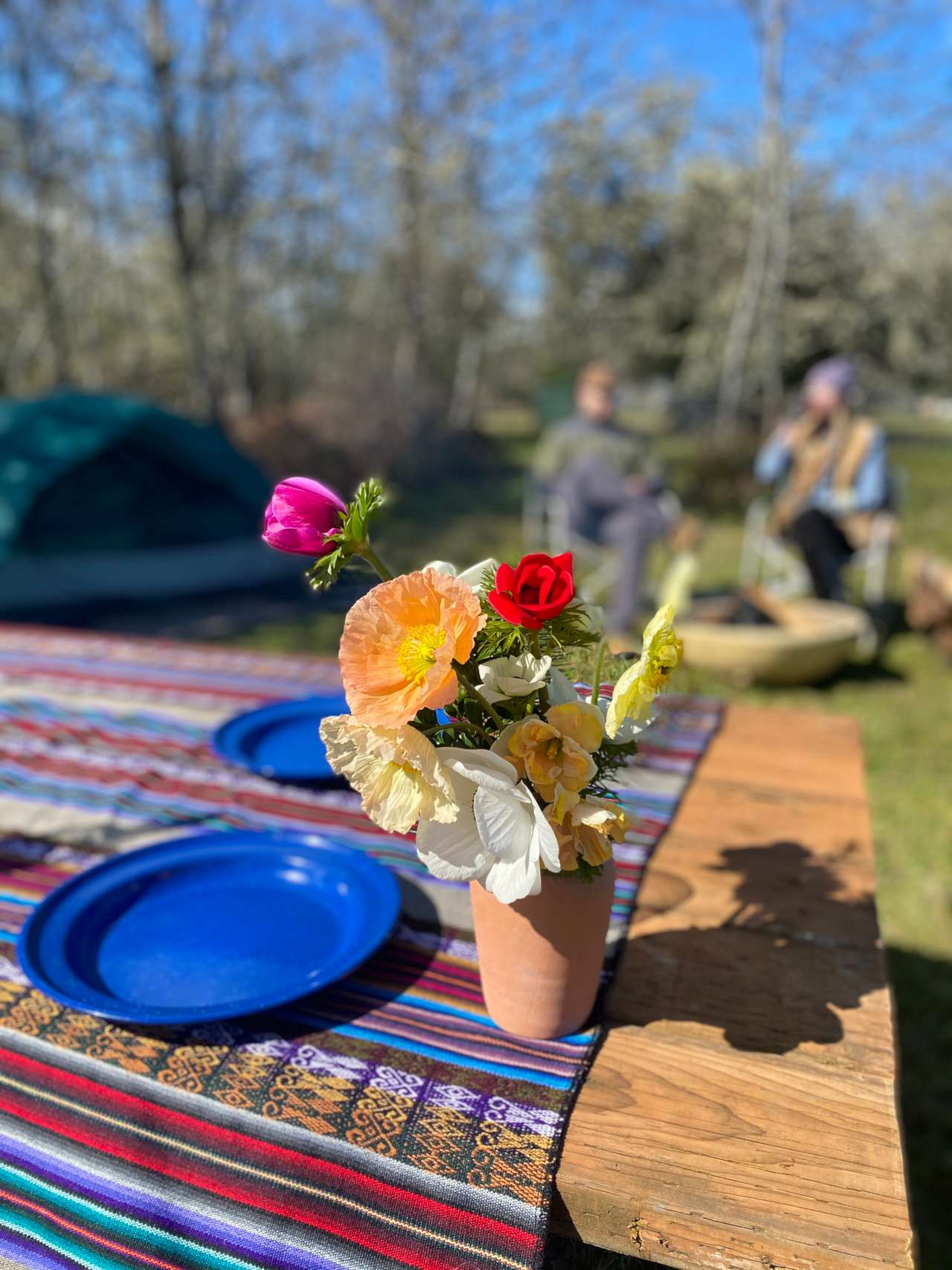 Sweet Alyssum Farm - Tent Camping