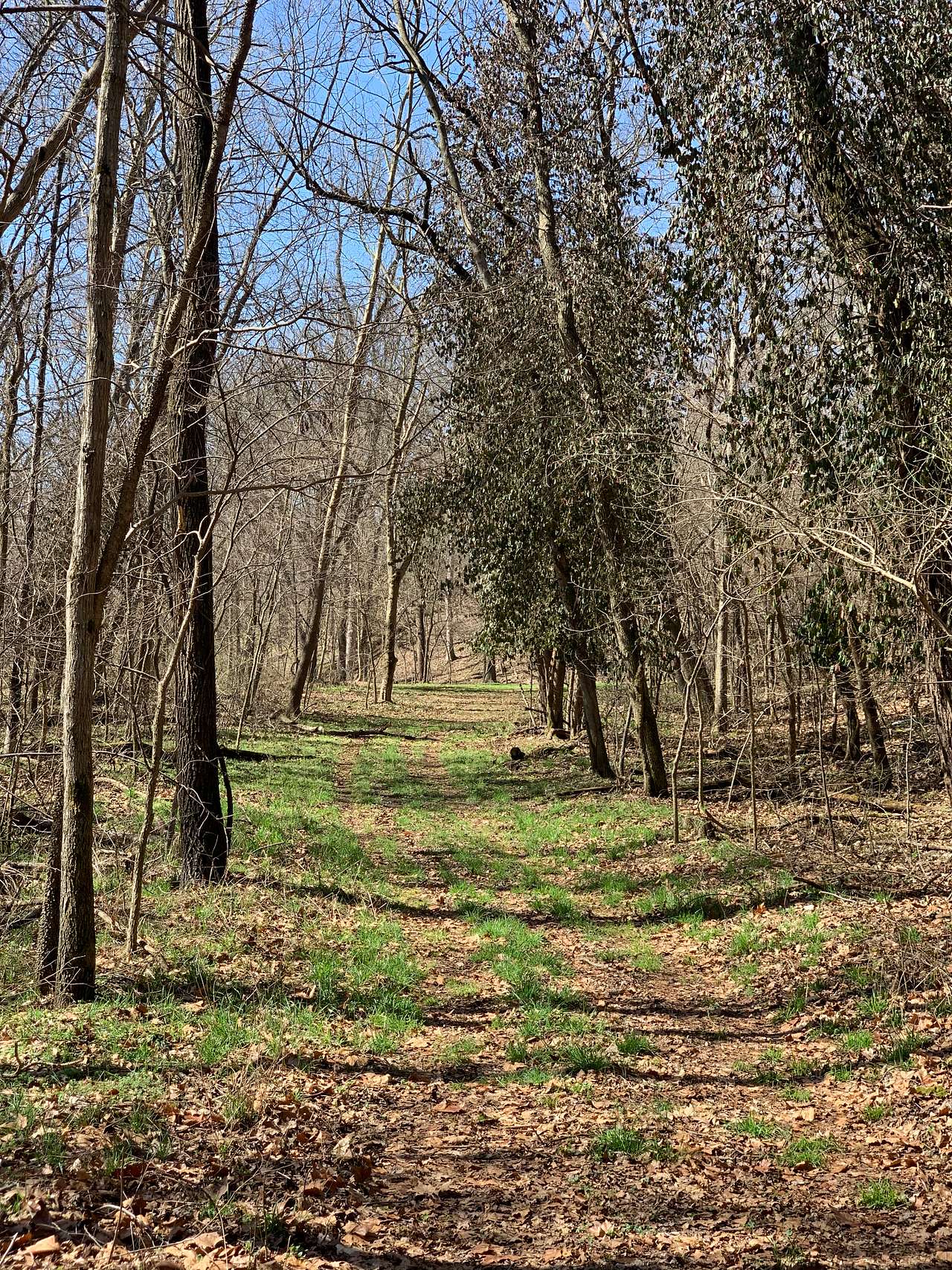Flint Creek Endurance Heaven