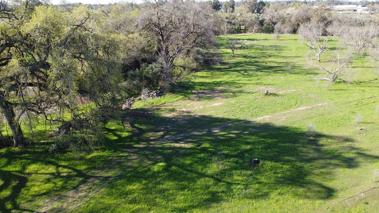 Corning Oaks