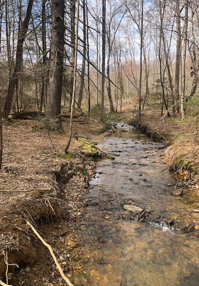 Hiking nearby.