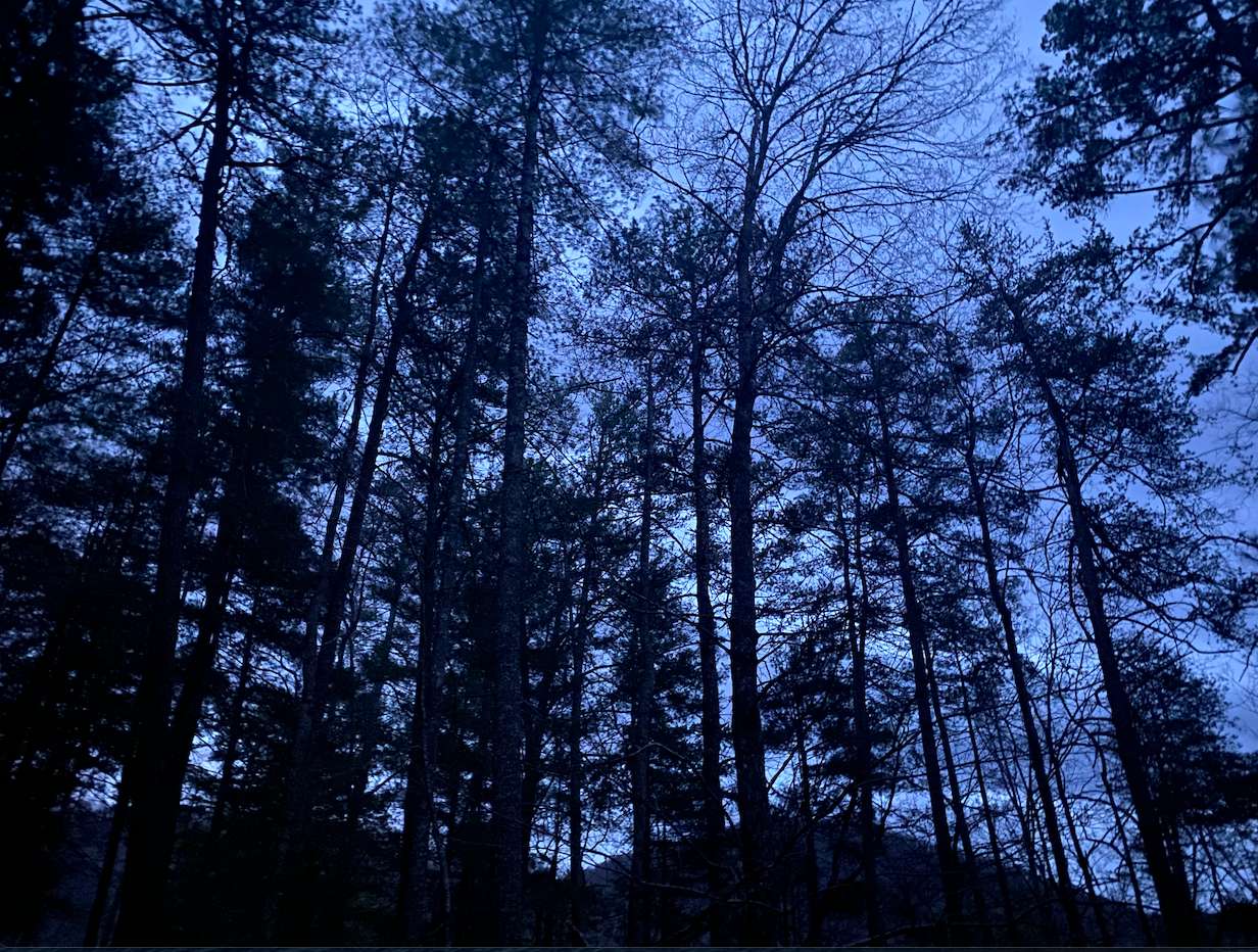 night sky view from site #50