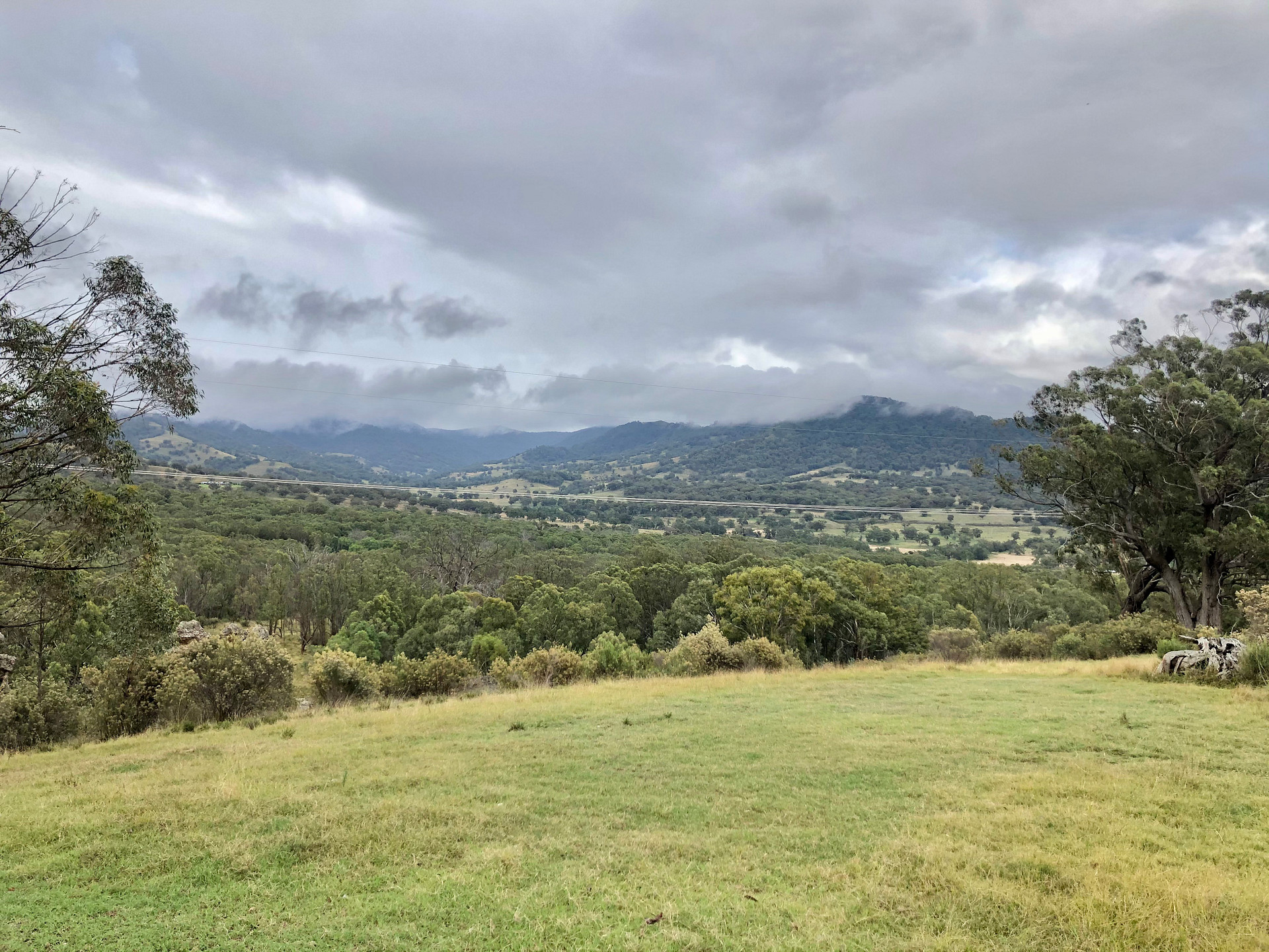 Temple Court, Murrurundi