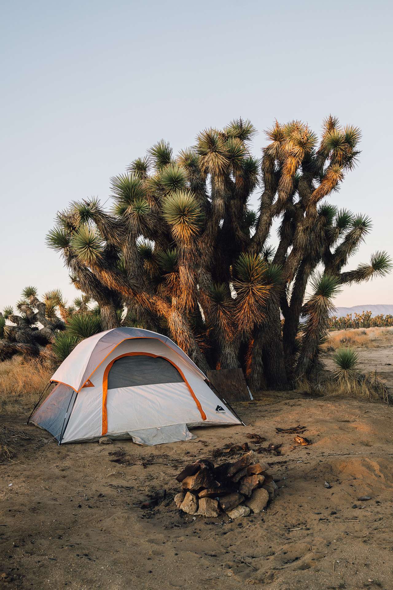 tent set up