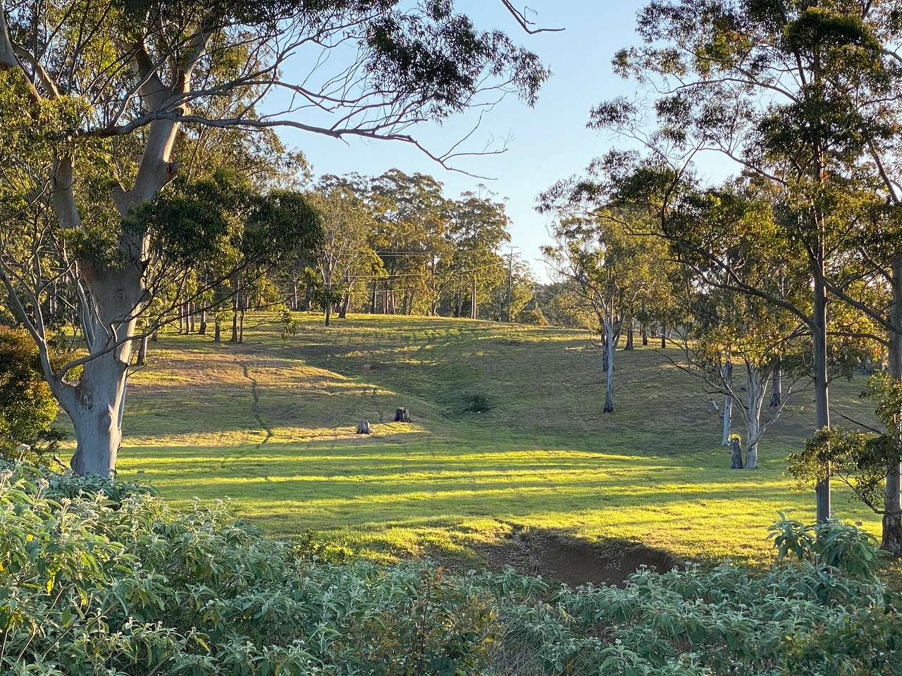 Diamond Ridge Grazing