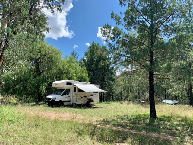 The Enchanting Site - a nice, big, flat site for large groups or multiple set ups with a nice mix of sun and shade. Close to the swimming hole. 