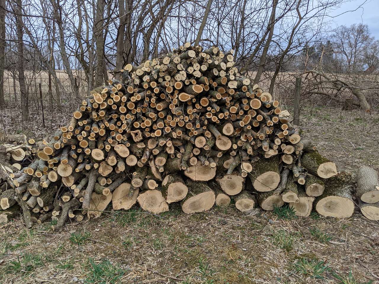 Firewood is available for a small fee and will be delivered to the site before your arrival.