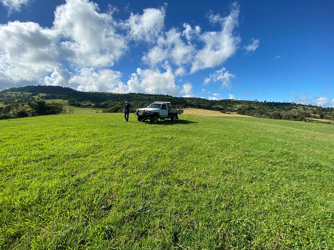 Diamond Ridge Grazing