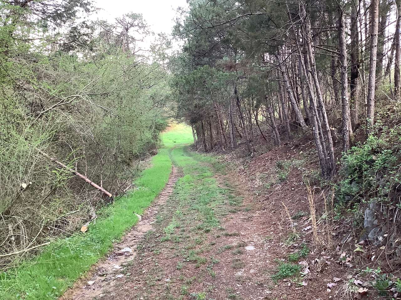 The  Farm