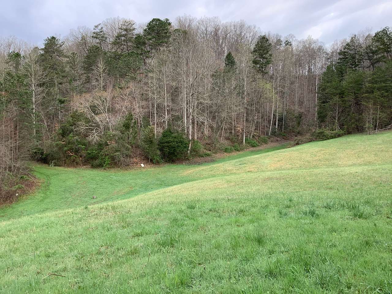 The  Farm