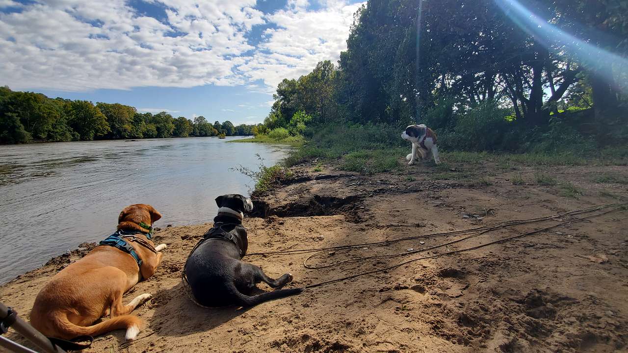 Seven Islands River Front Campsites