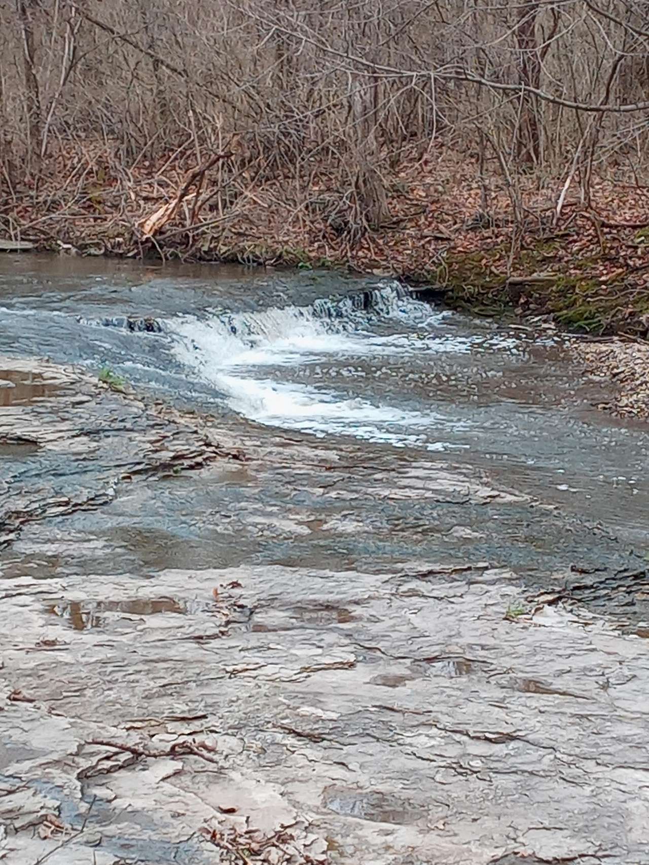 Railroad creek camp ground